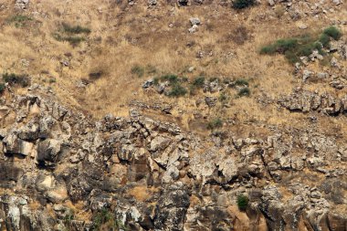 İsrail devletinin kuzeyindeki dağların ve kayaların dokusu 