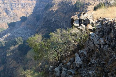 İsrail devletinin kuzeyindeki dağların ve kayaların dokusu 