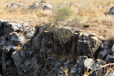 İsrail devletinin kuzeyindeki dağların ve kayaların dokusu 