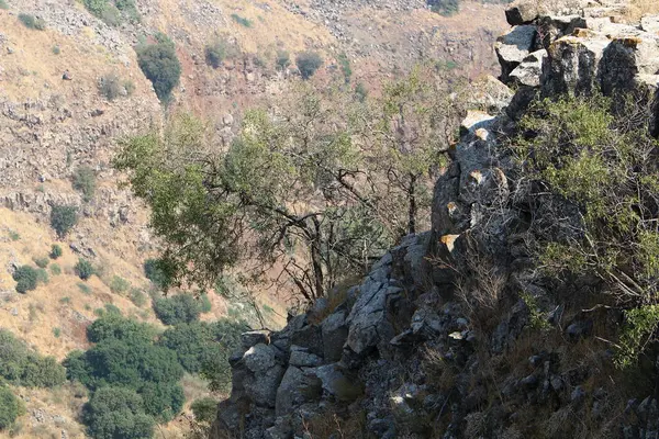 Texture Des Montagnes Des Rochers Dans Nord Etat Israël — Photo