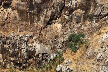 İsrail devletinin kuzeyindeki dağların ve kayaların dokusu 
