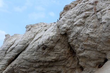 İsrail devletinin kuzeyindeki dağların ve kayaların dokusu 