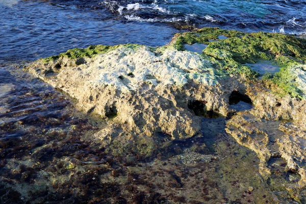 Textur Berg Och Klippor Norra Delen Staten Israel — Stockfoto