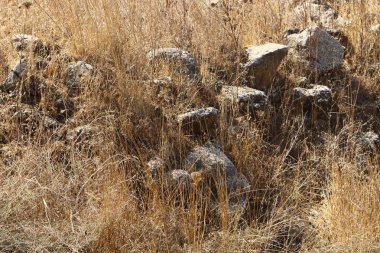 İsrail 'in kuzeyindeki Akdeniz kıyılarında büyük taş ve mermiler bulunur. 