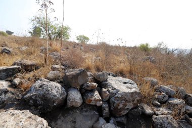 İsrail 'in kuzeyindeki Akdeniz kıyılarında büyük taş ve mermiler bulunur. 