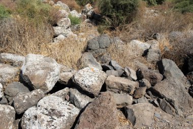 İsrail 'in kuzeyindeki Akdeniz kıyılarında büyük taş ve mermiler bulunur. 