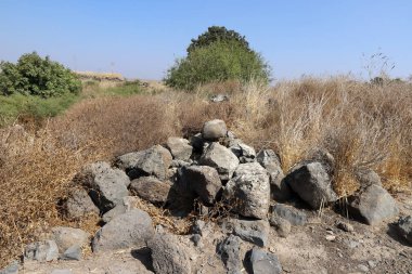 İsrail 'in kuzeyindeki Akdeniz kıyılarında büyük taş ve mermiler bulunur. 