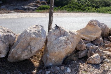 İsrail 'in kuzeyindeki Akdeniz kıyılarında büyük taş ve mermiler bulunur. 