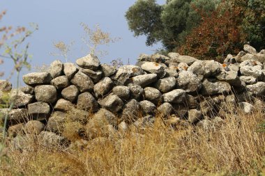 İsrail 'in kuzeyindeki Akdeniz kıyılarında büyük taş ve mermiler bulunur. 