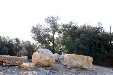 İsrail 'in kuzeyindeki Akdeniz kıyılarında büyük taş ve mermiler bulunur. 