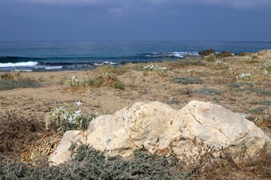 İsrail 'in kuzeyindeki Akdeniz kıyılarında büyük taş ve mermiler bulunur. 