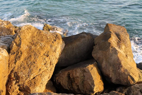 大きな石や貝殻はイスラエル北部の地中海沿岸にあります — ストック写真