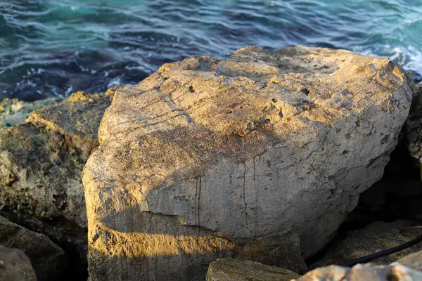 Grote Stenen Schelpen Liggen Aan Oevers Van Middellandse Zee Het — Stockfoto