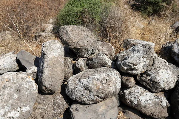 Grandes Pedras Conchas Encontram Nas Margens Mar Mediterrâneo Norte Israel — Fotografia de Stock