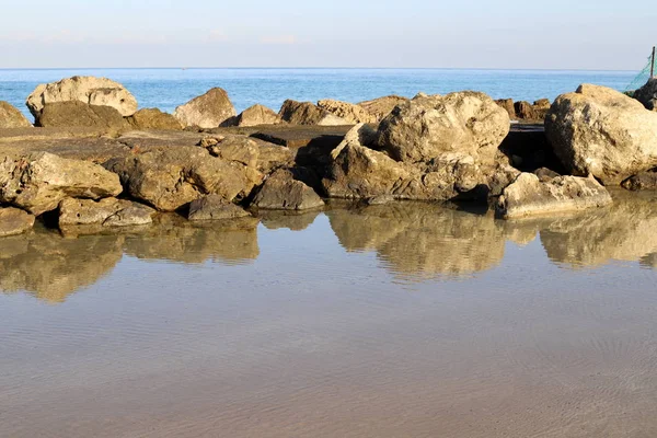 Duże Kamienie Muszle Leżą Wybrzeżu Morza Śródziemnego Północy Izraela — Zdjęcie stockowe