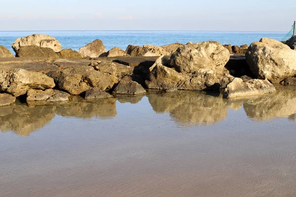 Μεγάλες Πέτρες Και Όστρακα Βρίσκονται Στις Ακτές Της Μεσογείου Θάλασσας — Φωτογραφία Αρχείου