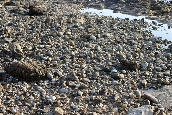 Grandes Piedras Conchas Encuentran Las Orillas Del Mar Mediterráneo Norte — Foto de Stock