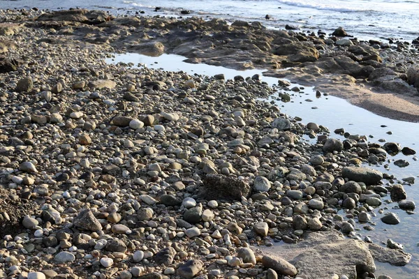 Большие Камни Раковины Лежат Берегу Средиземного Моря Севере Израиля — стоковое фото