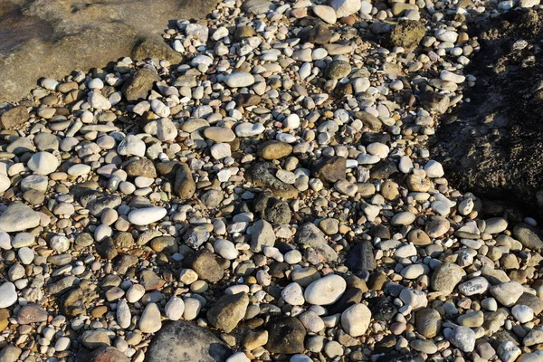 Grandes Pedras Conchas Encontram Nas Margens Mar Mediterrâneo Norte Israel — Fotografia de Stock