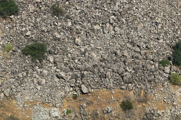 Grandes Pedras Conchas Encontram Nas Margens Mar Mediterrâneo Norte Israel — Fotografia de Stock