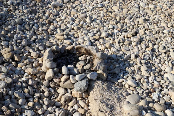Nagy Kövek Kagylók Fekszenek Földközi Tenger Partján Izrael Északi Részén — Stock Fotó