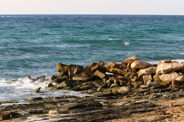 Grandes Pedras Conchas Encontram Nas Margens Mar Mediterrâneo Norte Israel — Fotografia de Stock