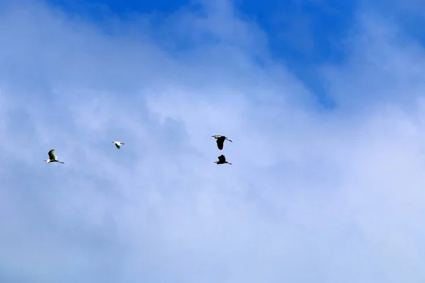 Nuvens Céu Sobre Mar Mediterrâneo Norte Israel — Fotografia de Stock