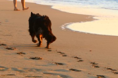 İsrail'in kuzeyinde Akdeniz kıyılarında kum ayak izleri 