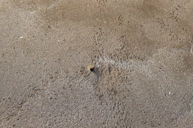 İsrail'in kuzeyinde Akdeniz kıyılarında kum ayak izleri 