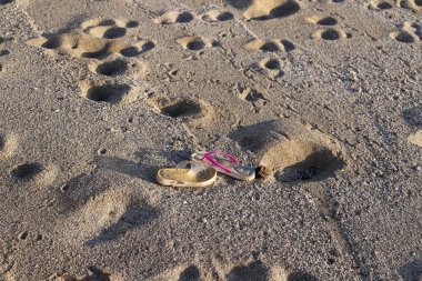 İsrail'in kuzeyinde Akdeniz kıyılarında kum ayak izleri 