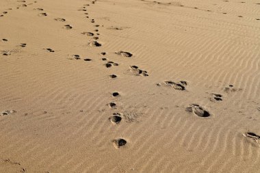İsrail'in kuzeyinde Akdeniz kıyılarında kum ayak izleri 