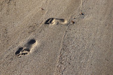 İsrail'in kuzeyinde Akdeniz kıyılarında kum ayak izleri 