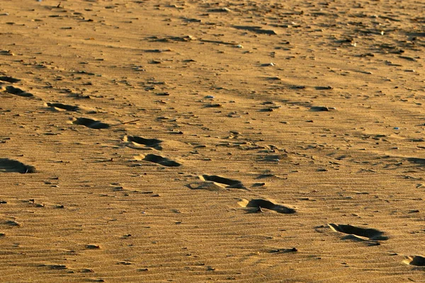 Voetafdrukken Het Zand Aan Oevers Van Middellandse Zee Het Noorden — Stockfoto