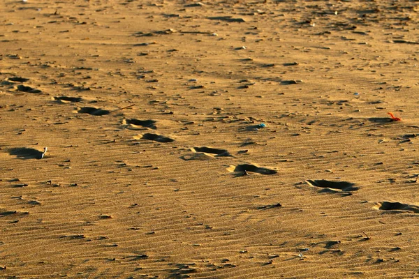 Следы Песке Берегу Средиземного Моря Севере Израиля — стоковое фото