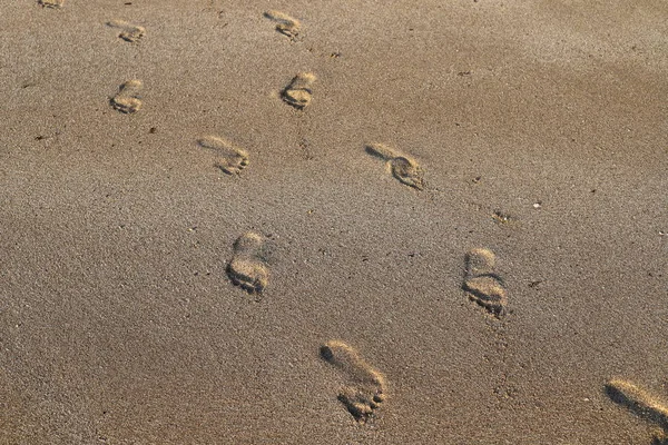 İsrail'in kuzeyinde Akdeniz kıyılarında kum ayak izleri 