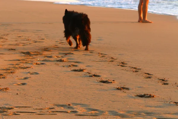 İsrail'in kuzeyinde Akdeniz kıyılarında kum ayak izleri 