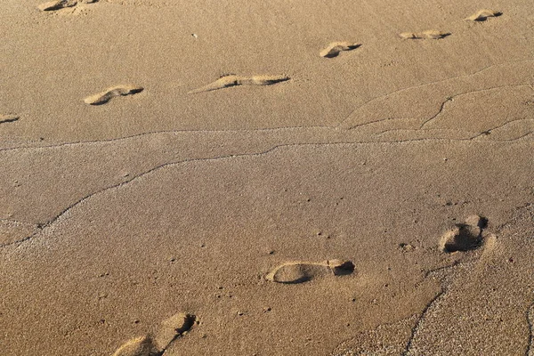 Voetafdrukken Het Zand Aan Oevers Van Middellandse Zee Het Noorden — Stockfoto