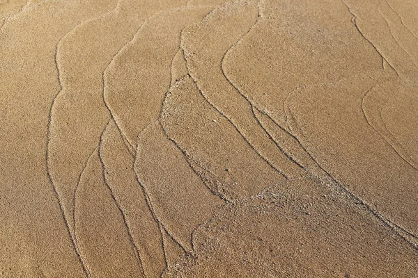 Voetafdrukken Het Zand Aan Oevers Van Middellandse Zee Het Noorden — Stockfoto