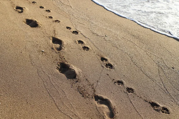 İsrail'in kuzeyinde Akdeniz kıyılarında kum ayak izleri 