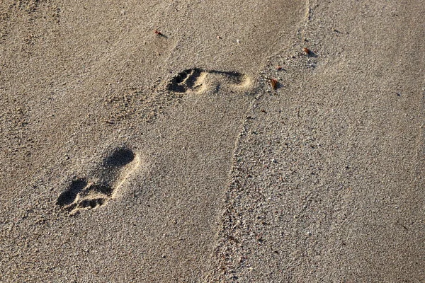 İsrail'in kuzeyinde Akdeniz kıyılarında kum ayak izleri 