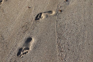 İsrail'in kuzeyinde Akdeniz kıyılarında kum ayak izleri 