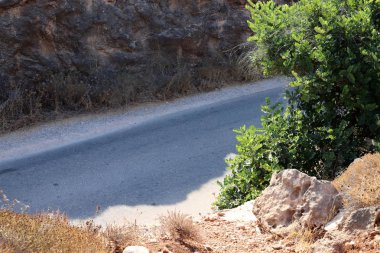 İsrail'in kuzeyinde dağlarda orman yolu 