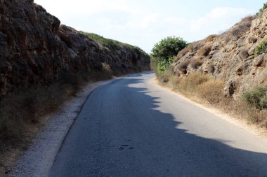 İsrail'in kuzeyinde dağlarda orman yolu 