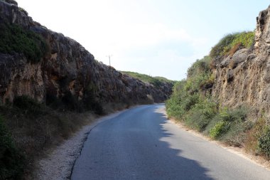 İsrail'in kuzeyinde dağlarda orman yolu 