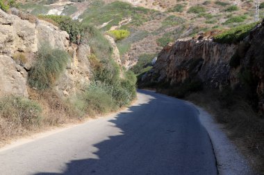 İsrail'in kuzeyinde dağlarda orman yolu 