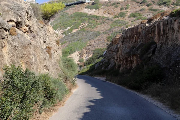 Δασικό Δρόμο Στα Βουνά Στα Βόρεια Του Ισραήλ — Φωτογραφία Αρχείου