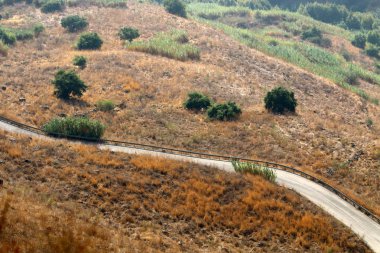 İsrail'in kuzeyinde dağlarda orman yolu 