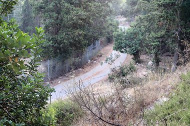 İsrail'in kuzeyinde dağlarda orman yolu 