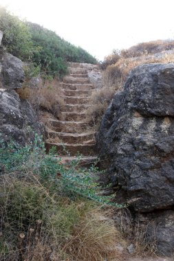 İsrail devletinin kuzeyindeki bir şehir parkında bir merdiven bulunmaktadır. 