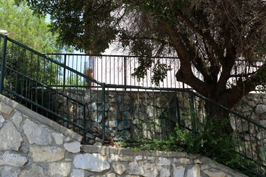 İsrail devletinin kuzeyindeki bir şehir parkında bir merdiven bulunmaktadır. 